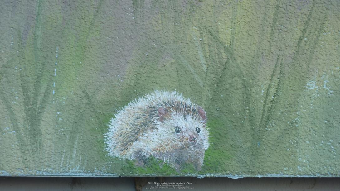 igel